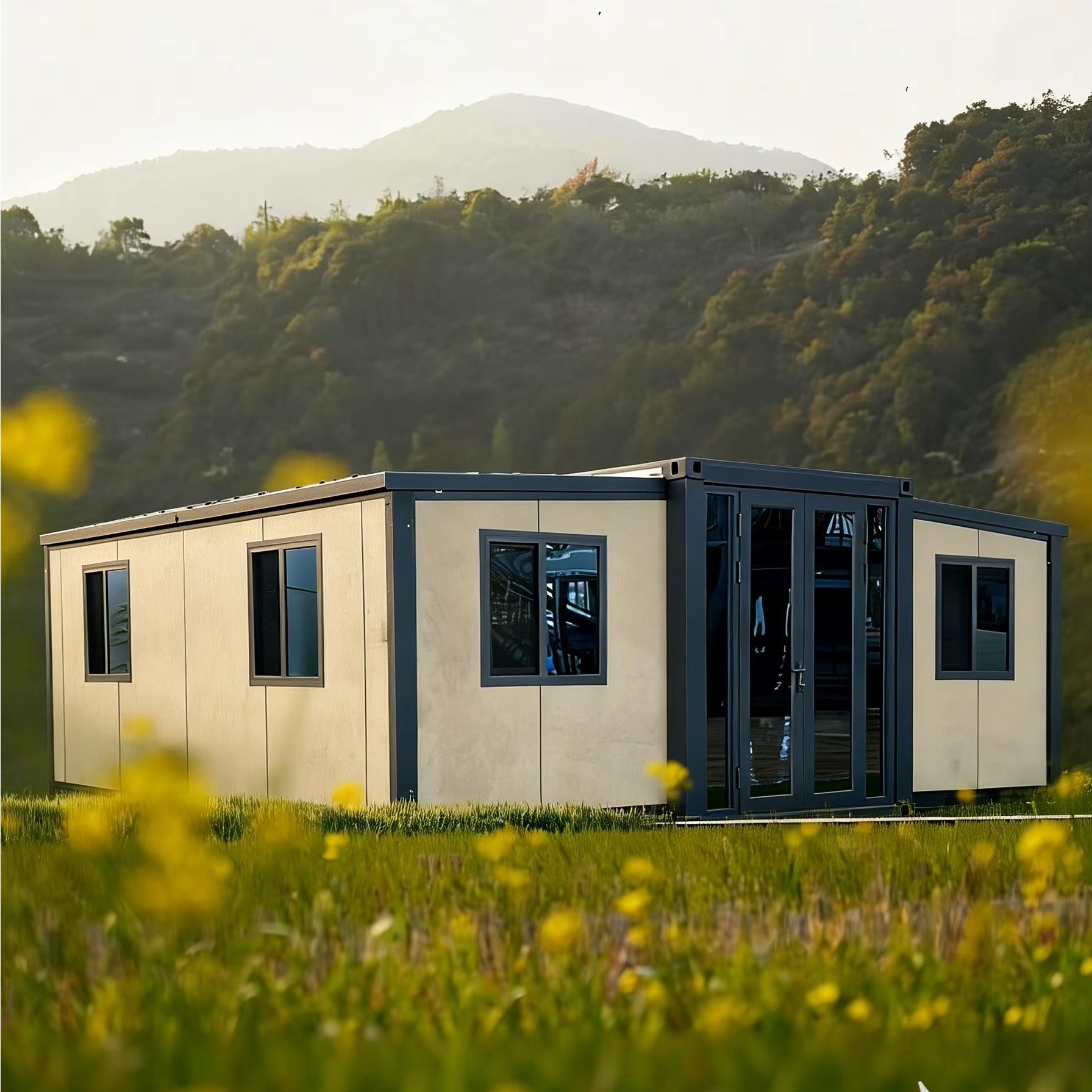 20FT 40FT Double Wing Expandab - Interior Design Luxury House 评论和价格